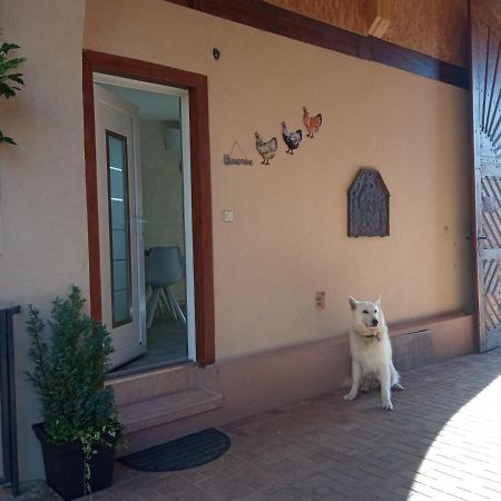 Gites Les Cocottes Zellwiller Exterior foto