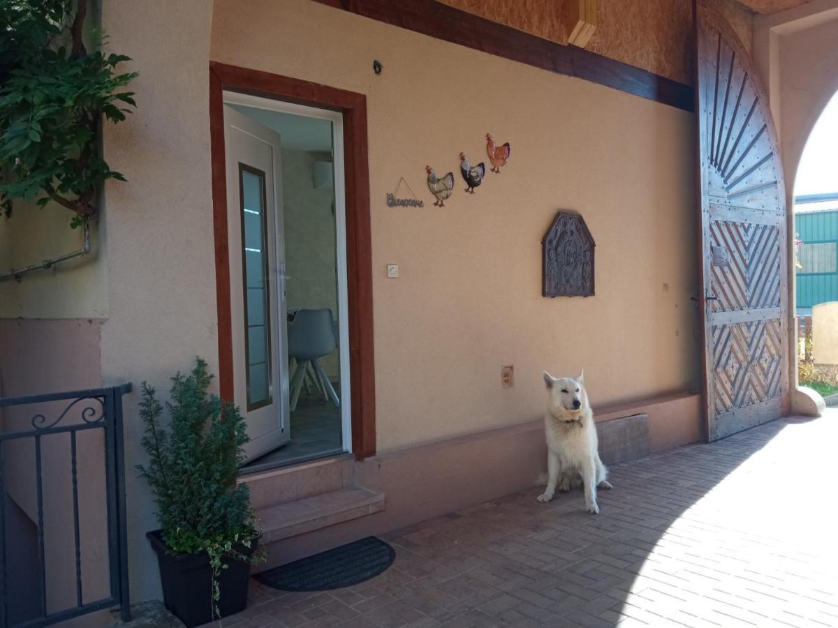 Gites Les Cocottes Zellwiller Exterior foto